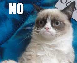 Grumpy Cat Says No Page 1 Line 17qq Com