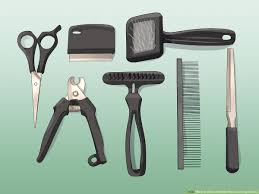 He looks gorgeous and smells great. How To Start A Mobile Pet Grooming Service With Pictures