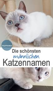 pin auf gary