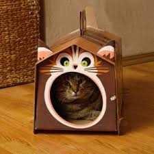 Check spelling or type a new query. Rumah Kucing Diy 59 Gambar Dan Penerangan Terperinci Mengenai Pilihan Terbaik