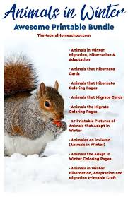 The Best Animals That Hibernate Migrate And Adapt Free Printable The Natural Homeschool Winter Animals Animals That Hibernate Winter Activities For Kids