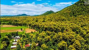Check spelling or type a new query. Bear Valley Camp Updated 2021 Prices Campground Reviews India Panna Tiger Reserve Tripadvisor