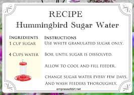 Hummingbirds Are Amazing Do You Know These Fact Sugar Water For Hummingbirds Hummingbird Food Humming Bird Feeders