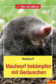 Maulwurf Bekampfen Selbst De Maulwurf Bekampfen Garten Umgraben Maulwurf Im Garten