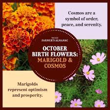 October Birth Flowers October Birth Flowers Birth Flowers Happy Flowers