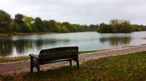 Fundraiser by Christelle Jones : Glenn's Haysden Country Park Bench