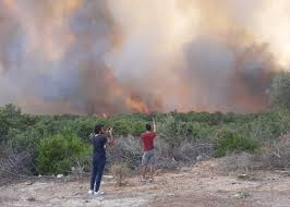 Міністерство закордонних справ розробляє сценарії повернення громадян на випадок погіршення ситуації в туреччині, де вирують лісові пожежі. Jvtqjjupfji66m