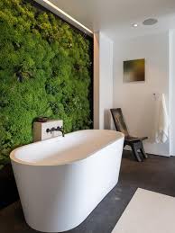 Find and save 38 bathtub shower combo designs ideas on decoratorist. Tub And Shower Combos Pictures Ideas Tips From Hgtv Hgtv