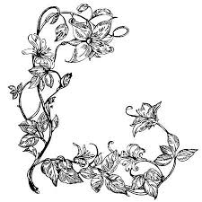 Black And White Vines Vector Vintage Elegant Flowers Black And White Vector Illustration Honeysuckle Tattoo Elegant Flowers Honeysuckle Flower