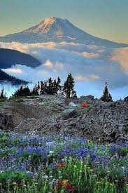Mt Adam Nh Beautiful Nature Beautiful Places Scenery