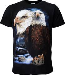 In die tijd waren er naar schatting 4.500 broedparen in 48 staten. Bol Com Bald Eagle Amerikaanse Zeearend Adelaar T Shirt Zwart