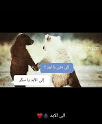 pin by بتول العبسي on بتول funny animal pictures picture illustration painting illustration