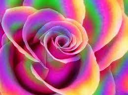 Pin On Colorful Images