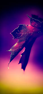 This collection presents the theme of wallpaper for mobile phone hd. Beautiful Dark Hd Wallpapers For Iphone Novocom Top