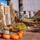 Vale Wood Farms Pumpkin Patch event image