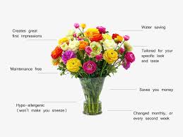 Maybe you would like to learn more about one of these? Decorme Decorme Silk Flowers Decorme
