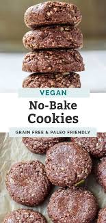 Grain Free No Bake Cookies Fit Mitten Kitchen Recipe In 2020 Vegan Cookies Recipes Vegan Cookies Vegan Dessert Recipes