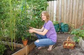 We did not find results for: Starting A Home Garden From Scratch Whitney Anderson