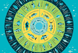 Chart Choose The Seafood With The Lowest Mercury Levels