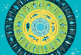 Chart Choose The Seafood With The Lowest Mercury Levels