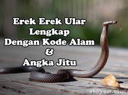 Kupu kupu masuk rumah malam hari. 15 Kode Alam Ular Kobra Masuk Rumah Jawara Togel