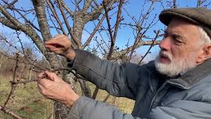 Autumn Olive: Friend or Foe?