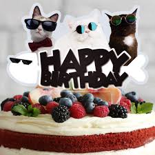 Thus, this type of food should not become the only ingredient in your cat's feed, but can be part of their diet in moderate quantities. Happy Birthday Cake Topper Acrylic Cupcake Topper Birthday Party Decorations For Children And Adults 20 Pieces Black Buy Online In Cook Islands At Cook Desertcart Com Productid 160184320