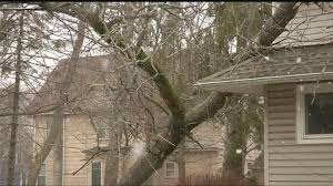 Crews At Work Cleaning Up Debris In Brockport Whec Com