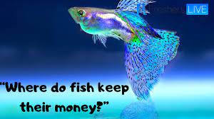 Check spelling or type a new query. Where Do Fish Keep Their Money Riddle Here Is The Logical Explanation For Where Do Fish Keep Their Money Riddle Answer