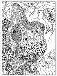 Pin On Coloring Pages