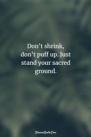 85 Inspirational Quotes About Life And Happiness Inspiring Quotes About Life Wisdom Quotes Life Life Quotes