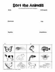 Animal Classification Worksheets