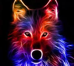 Neon Wolf Dieren Behang Coole Achtergronden Wolf Kunst