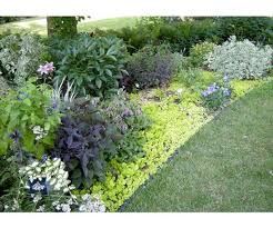 Design Lessons From A Minnesota Shade Garden Shade Garden Minnesota Garden Urban Garden