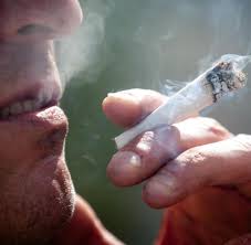 Es brauche deutsche hanfplantagen in zeit online: Cannabis Warum Kiffen Auf Kasse Bald Legalisiert Wird Welt