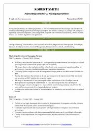 Cv template for experienced hse jobs. Managing Partner Law Firm Resume