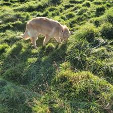 We provide individualized veterinary care for your pet, taking into consideration the age, breed, and lifestyle of your pet. Veterinary Care Center 18 Photos Veterinarians 2663 Nottingham Way Mercerville Nj Phone Number