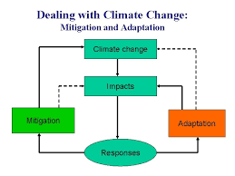Implementing both adaptation and mitigation solutions can help fight against the effects of climate change. The Challenge Of Climate Change Adaptation And Mitigation