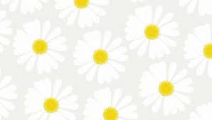 Maybe you would like to learn more about one of these? Cute Desktop Wallpaper Pinterest Hd Most Popular Hd Wallpapers For Desktop Mac Laptop Smartphones And Tablets With Different Resolutions Img Doppelganger