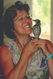 Arts Alliance Mountain Empire