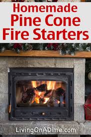 Place the cup cake papers into a. Homemade Pinecone And Sawdust Firestarters Living On A Dime