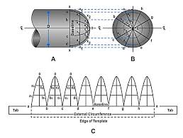 Layout And Fabrication Of Structural Steel And Pipe Advance