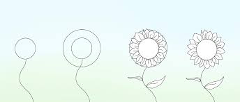 Easy different types of flowers drawing with names. 8 Tips To Create Simple Flower Drawings For Beginners Jae Johns