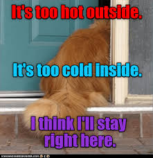 Maybe you would like to learn more about one of these? Summertime With The Ac On Lolcats Lol Cat Memes Funny Cats Funny Cat Pictures With Words On Them Funny Pictures Lol Cat Memes Lol Cats