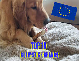 Bully sticks are good for that, too! Top 10 Best Bull Pizzle Brands In Europe