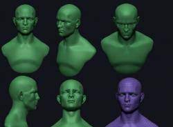 Tag free contains human, animal, anatomy 3d models. Free Obj Models With Textures Stlfinder