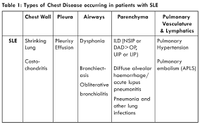 The Lungs And Lupus Lupus Uk