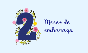 The gregorian calendar is divided into 12 months. Lo Que Ocurre En El Segundo Mes De Embarazo