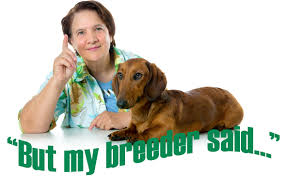 Services offered will vary by provider, but can include hospice, palliative care, pain management, acupuncture & alternative medicine and euthanasia. Breeders Vs Vets This Veterinarian Declares Enough