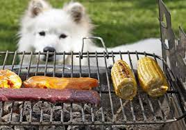 6 s 2/02) ein vergleich geschlossen, nach dem im sommer zweimal im monat zwischen 17:00 und 22:30 uhr im hinteren teil des gartens gegrillt werden darf, falls dieser vorhanden ist. Streit Mit Dem Nachbarn Wie Oft Darf Ich Grillen Nordkurier De